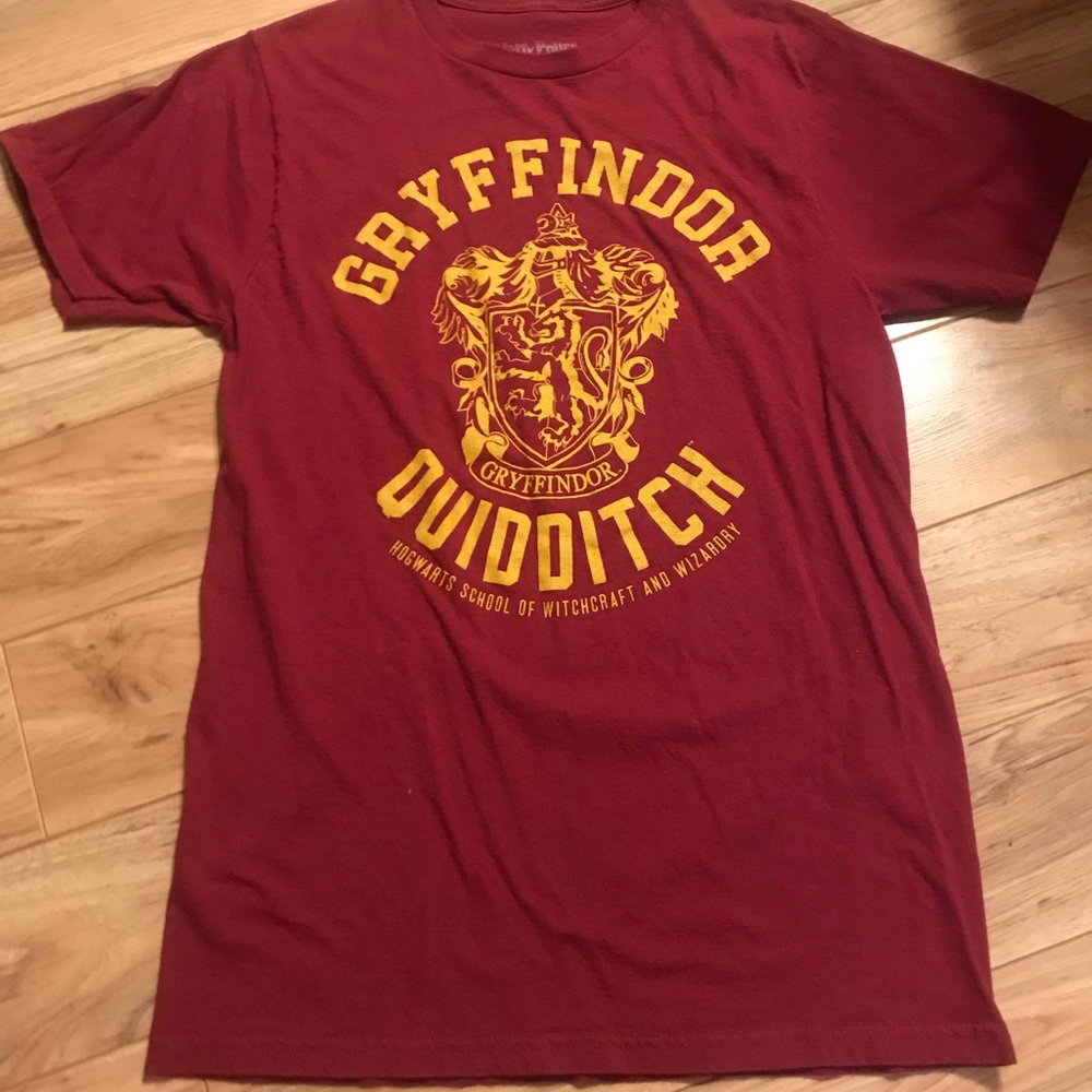 Gryffindor Quidditch
